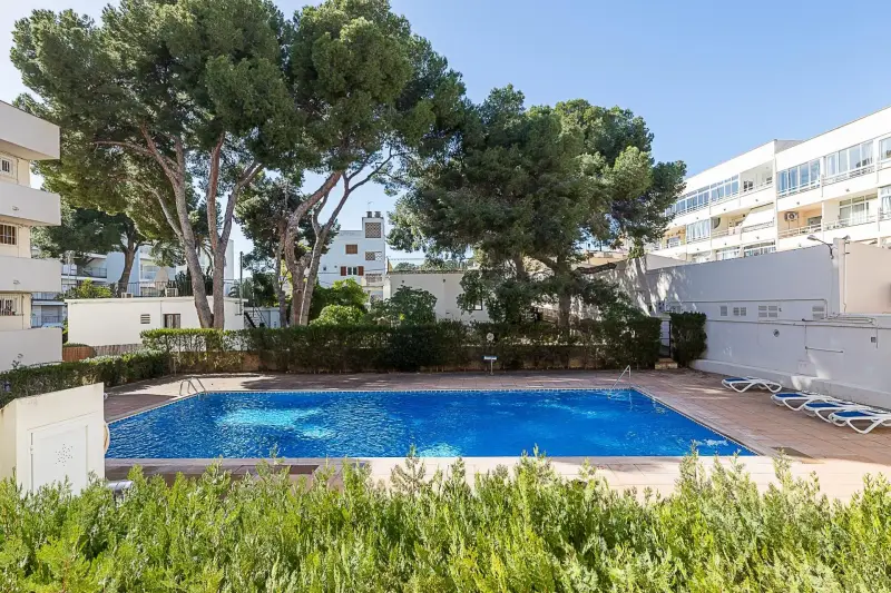 Apartamento en Palmanova