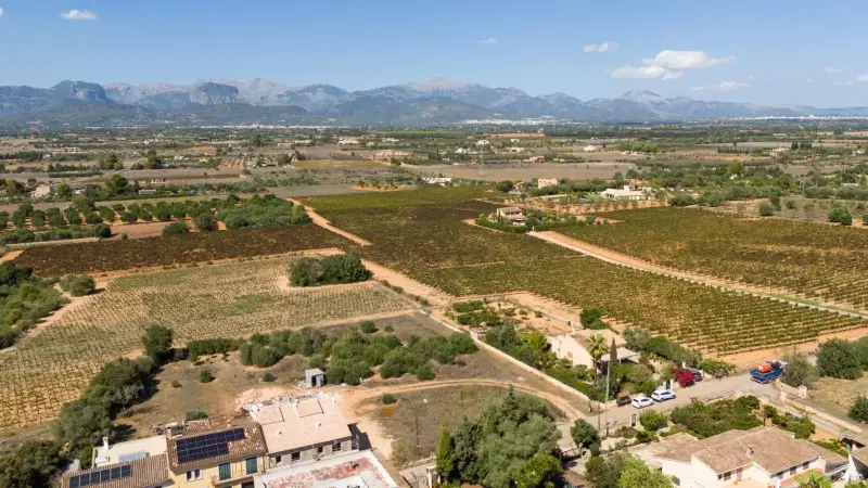 Terreno · Biniali, foto 2