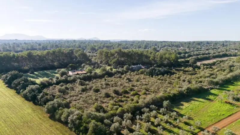 Terreno · Sencelles, foto 2